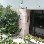 The Frogs And Company