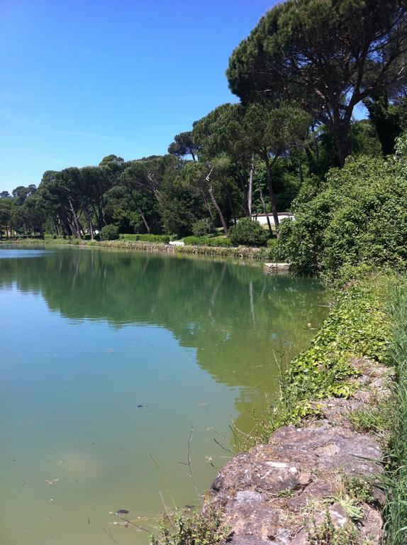 Bed & Breakfast The Frogs And Company Rome