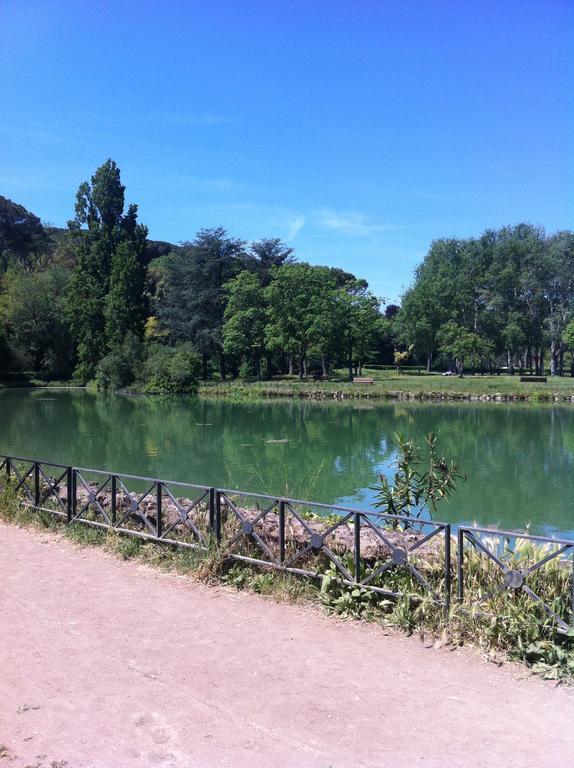 The Frogs And Company